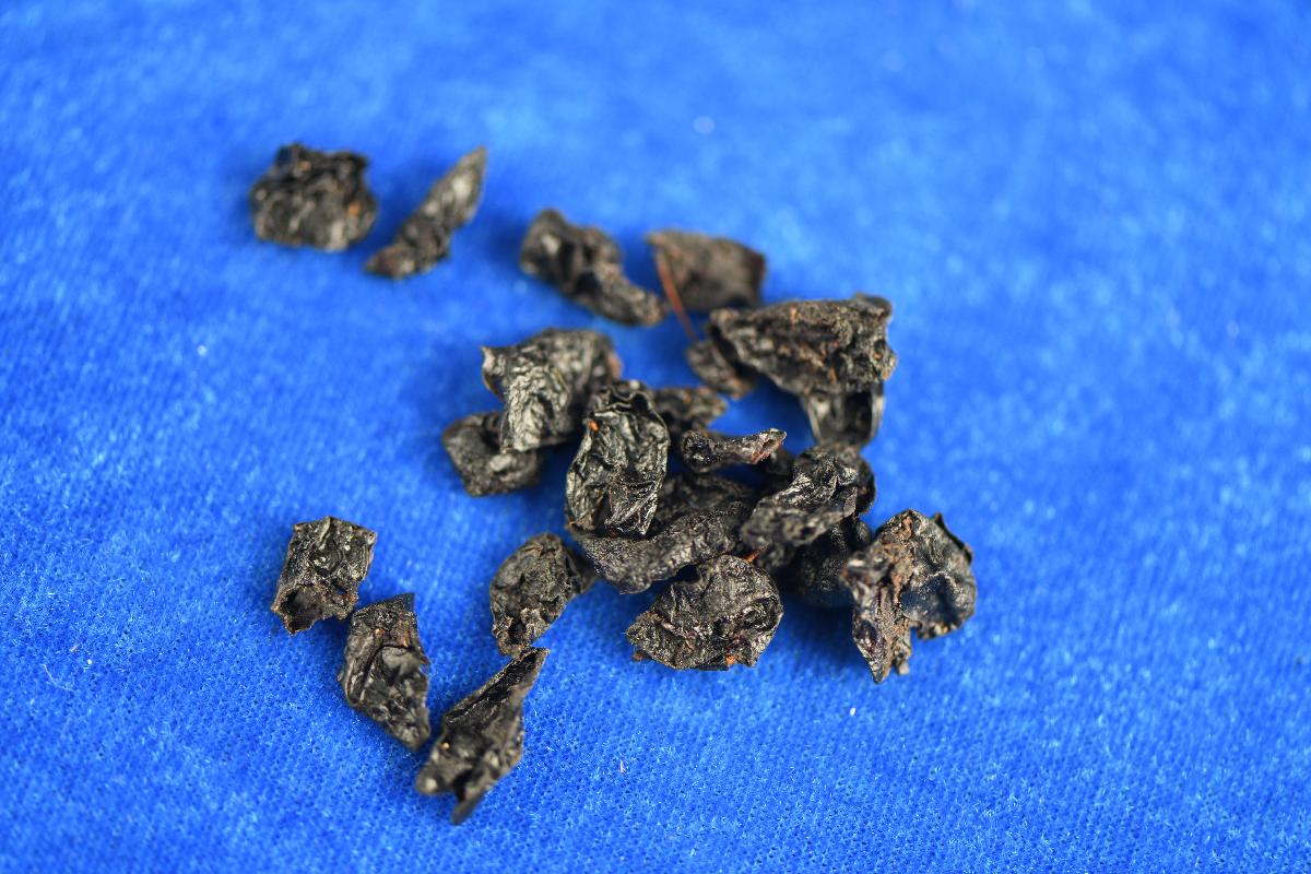 (ZY)0155山茱萸