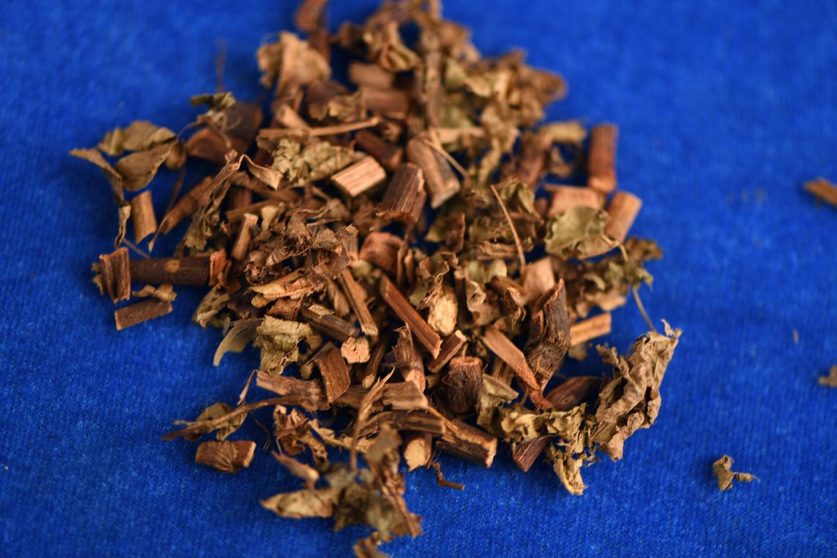 （ZY）0237火炭母草