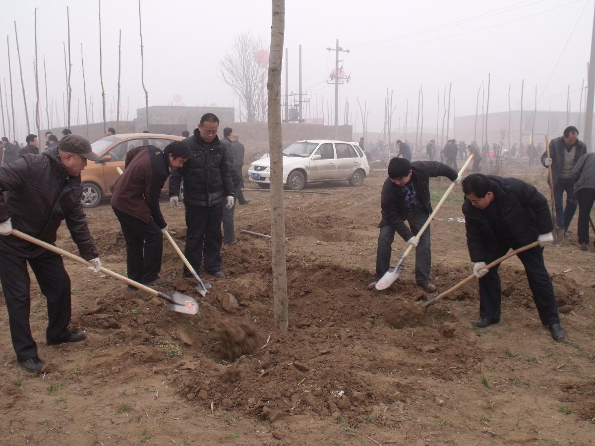 2012年咸阳市植树活动