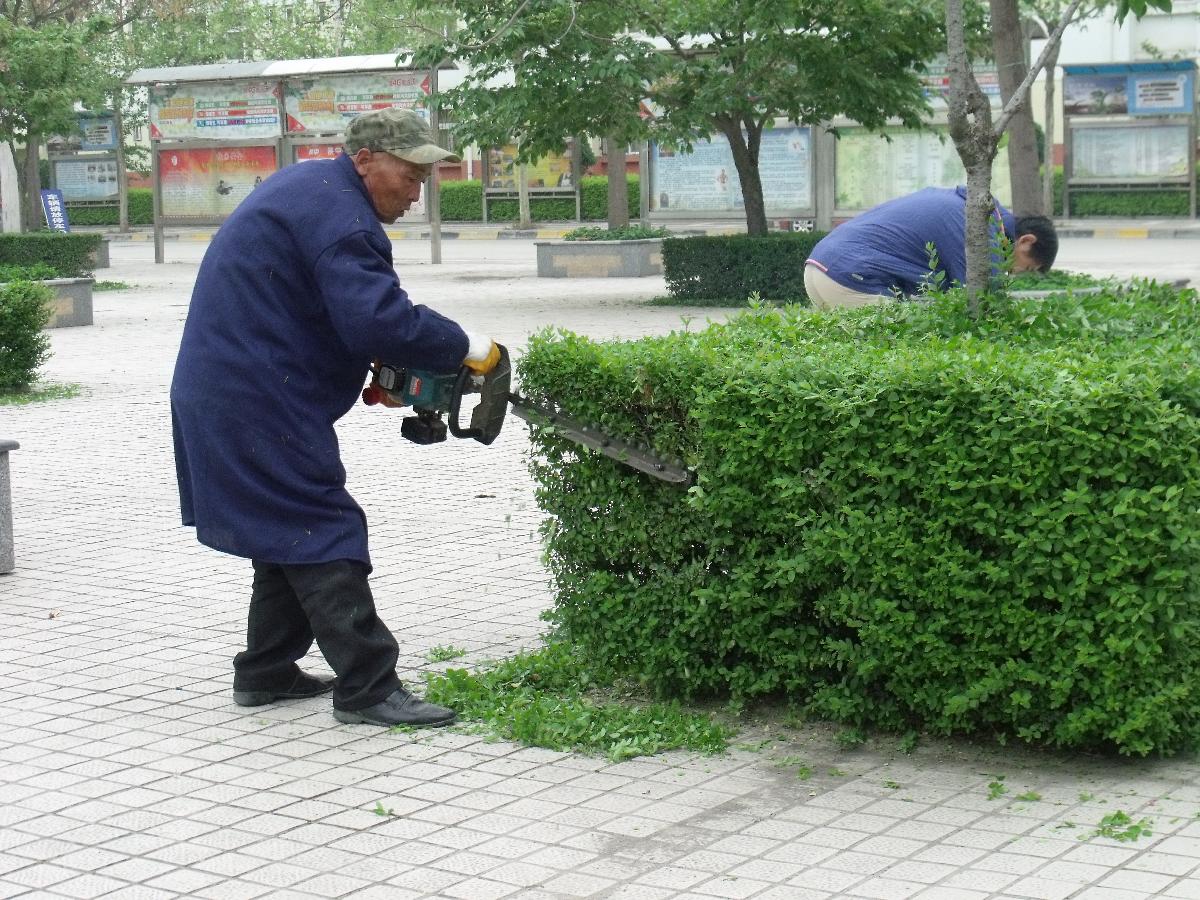 美化校园在于勤