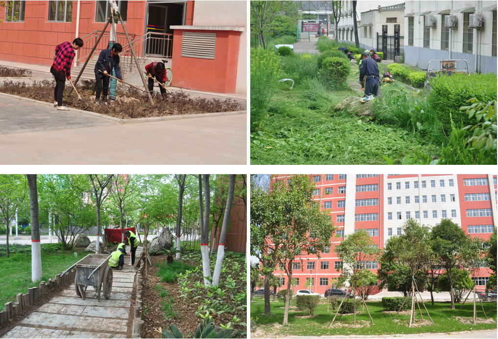 以评促建重在行动