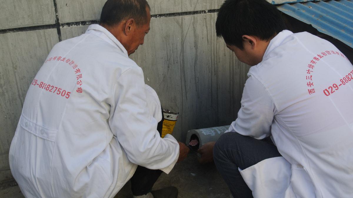 饮食中心进行防疫灭鼠活动