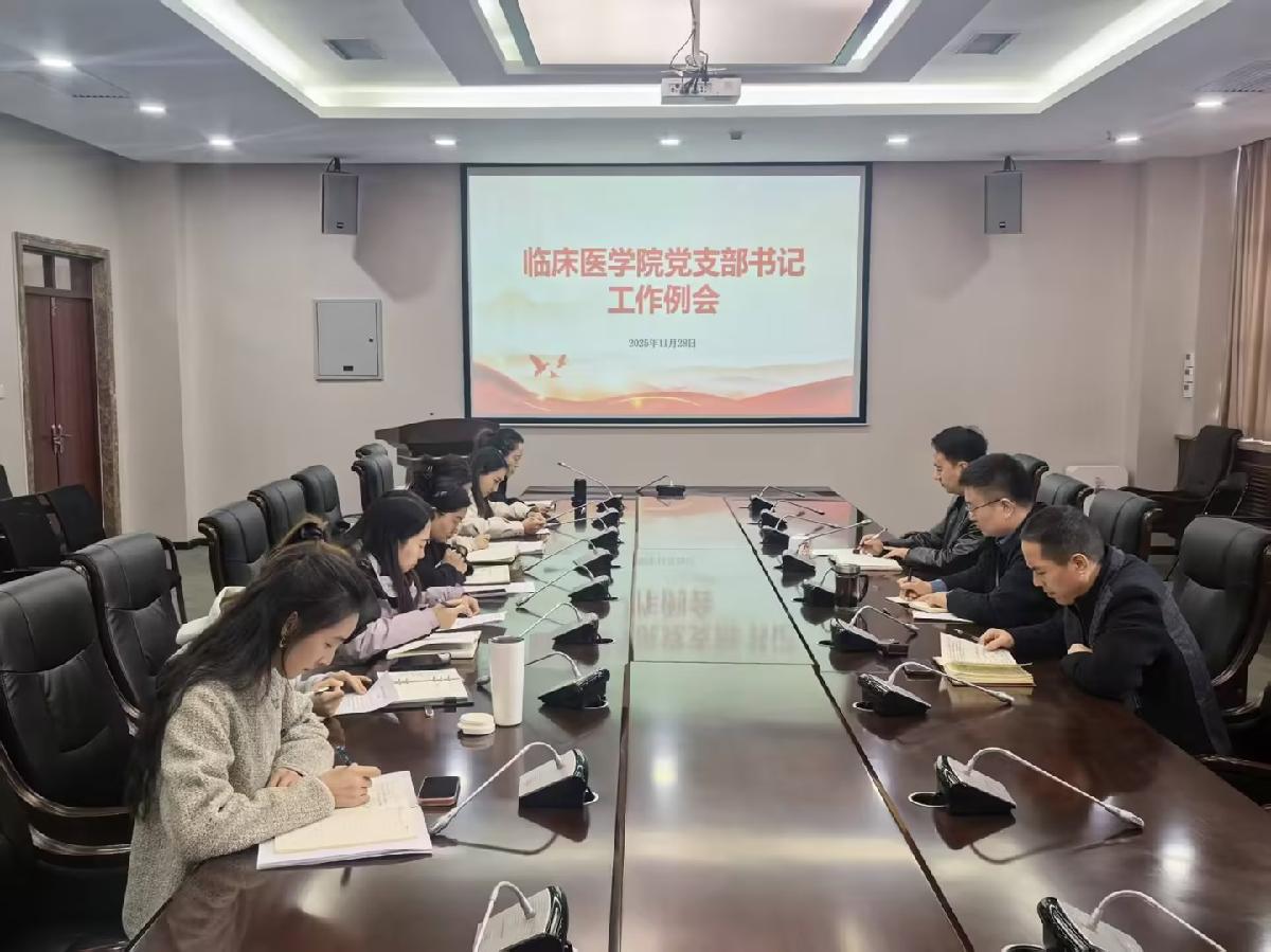 临床医学院党委召开党支部书记工作例会