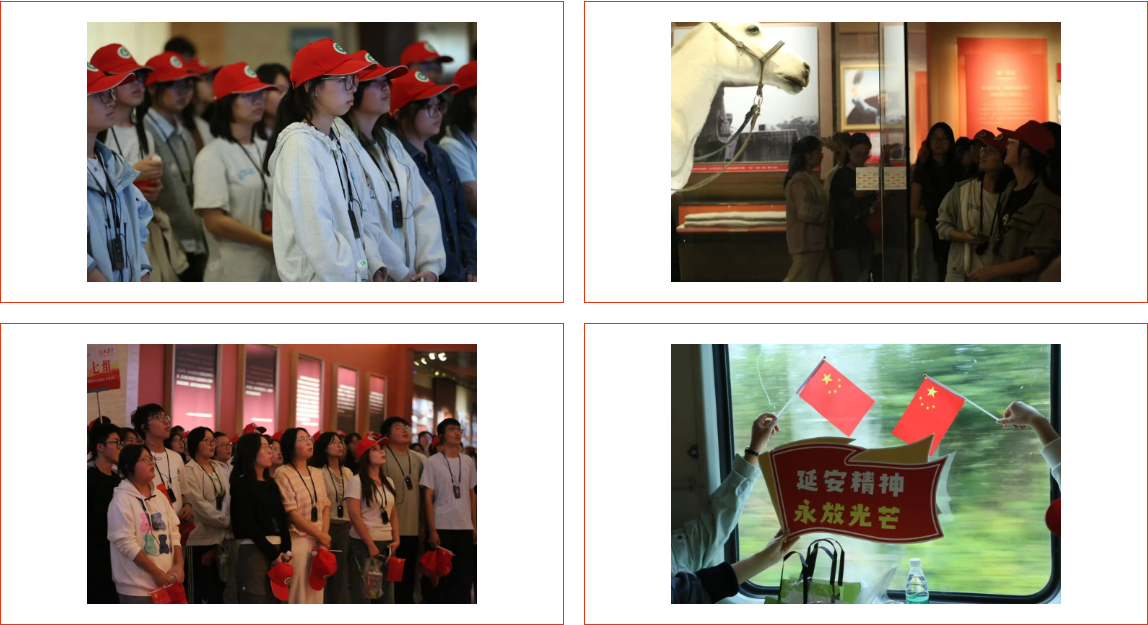 我校开展“到延安去”·三秦学子圣地行红色教育实践活动（第九批）