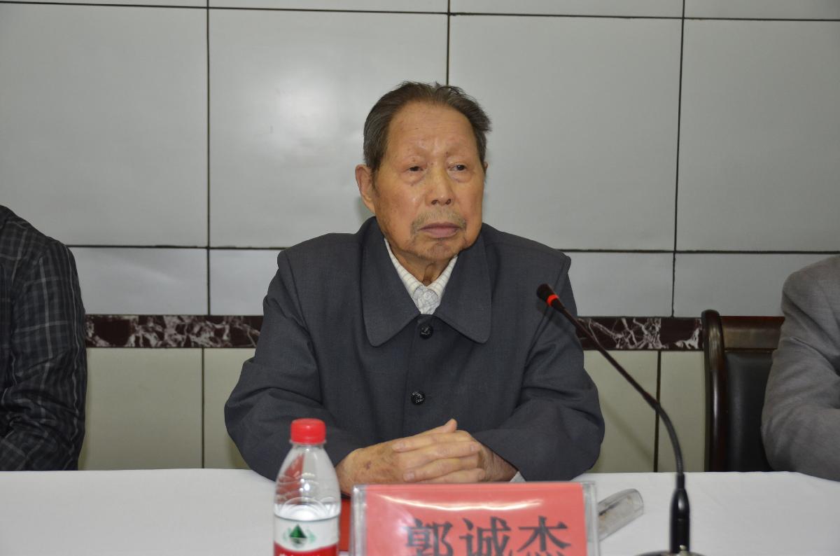 国医大师郭诚杰先生