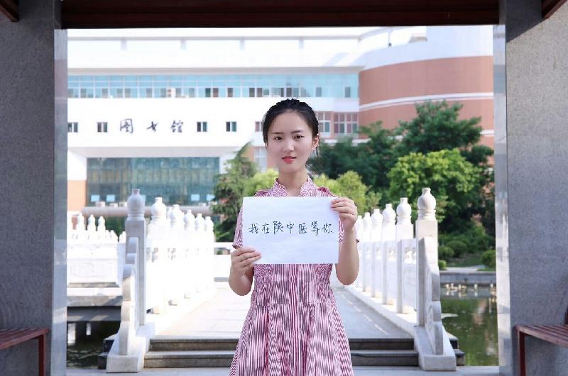 专业的秘密—中医学